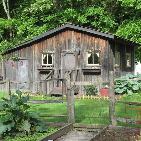 The Renovated Barn At Seneca Rocks Villa Ngoại thất bức ảnh