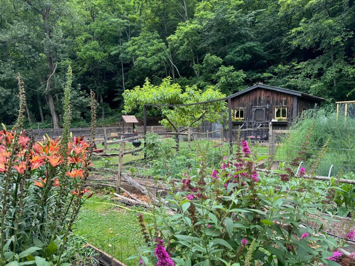The Renovated Barn At Seneca Rocks Villa Ngoại thất bức ảnh