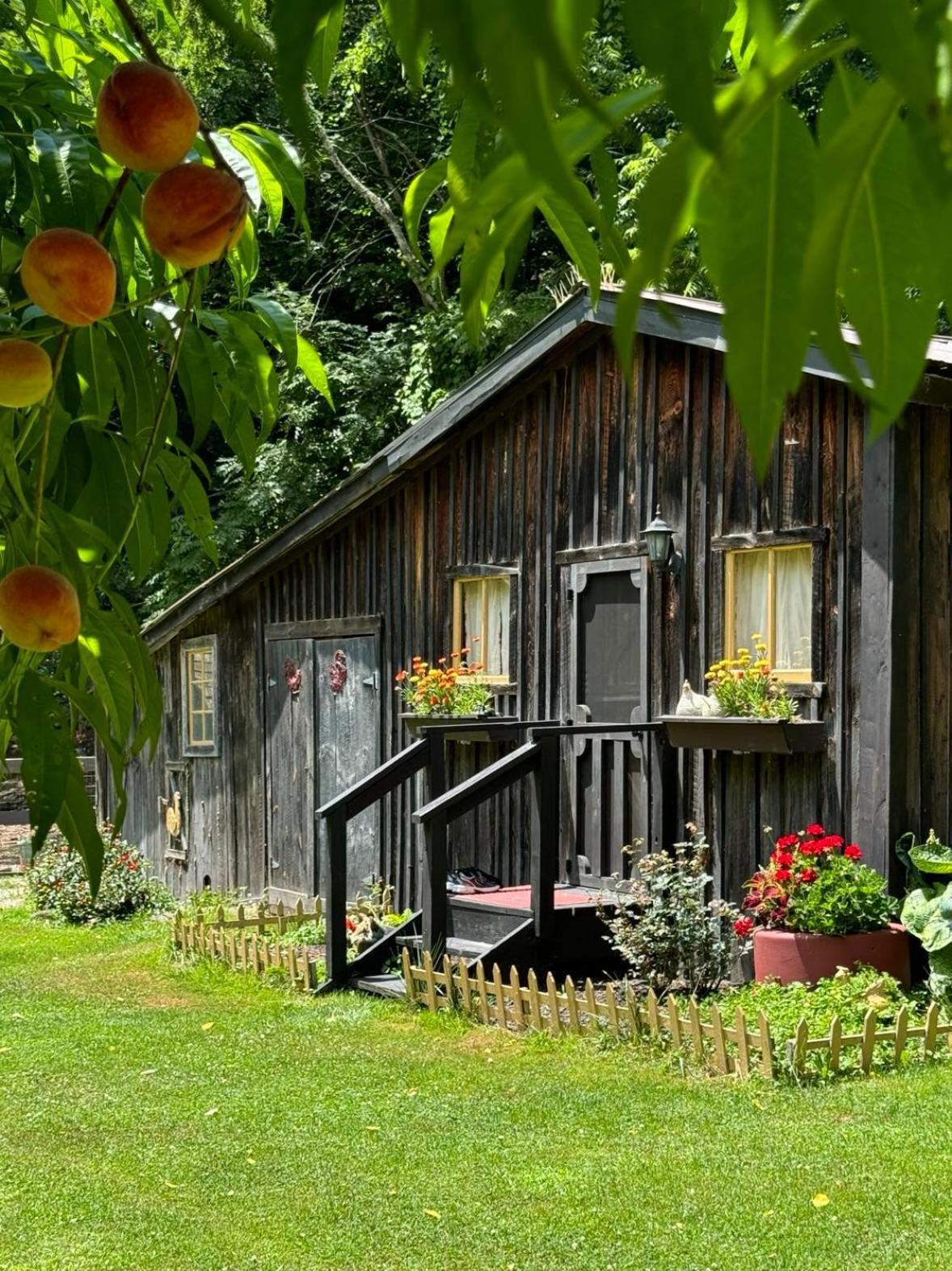 The Renovated Barn At Seneca Rocks Villa Ngoại thất bức ảnh