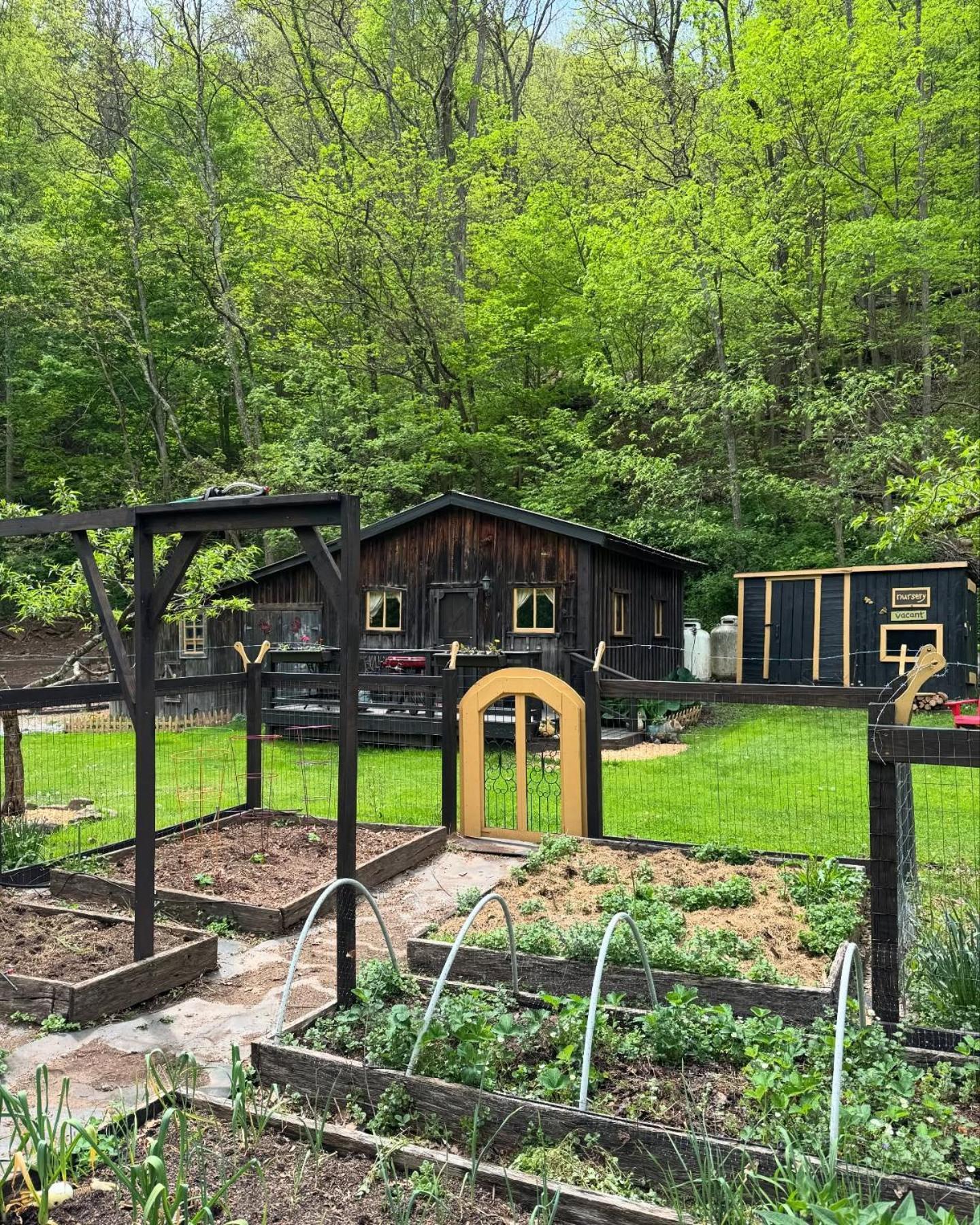 The Renovated Barn At Seneca Rocks Villa Ngoại thất bức ảnh